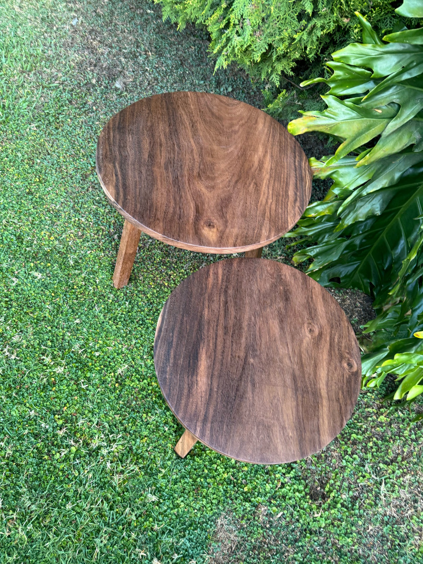 Juego de Mesitas Parota