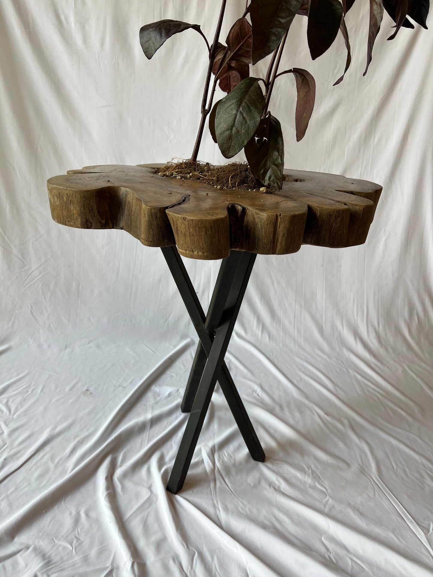 Mesa Maceta de Javín irregular